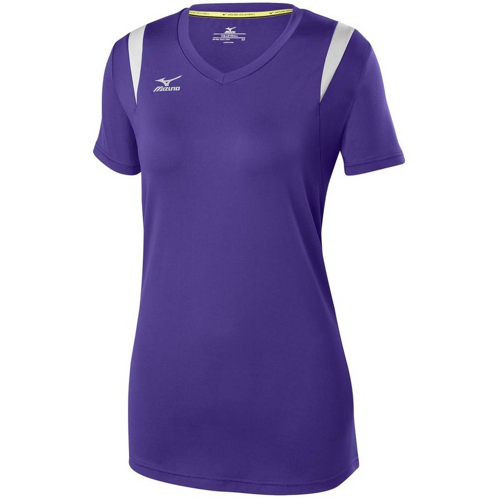 Jerseys Mizuno Balboa 5.0 Long Sleeve Mujer Moradas/Plateadas España DFRS-43601